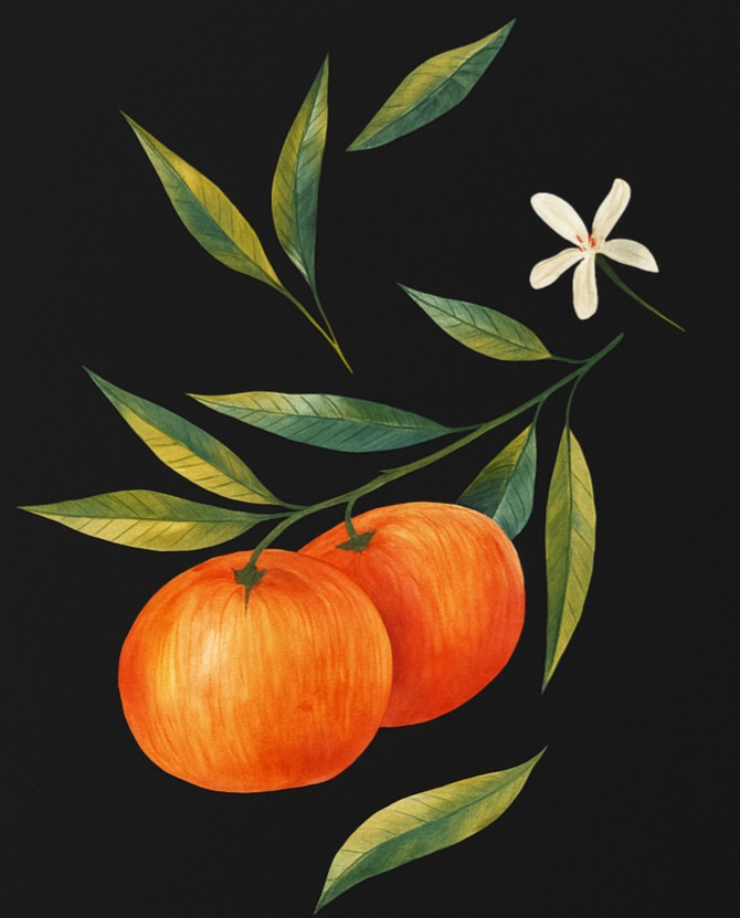 Mandarinas propiedades